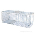 Rat Trap Cage Humane Small Live Animal Control Steel Trap Cage Manufactory